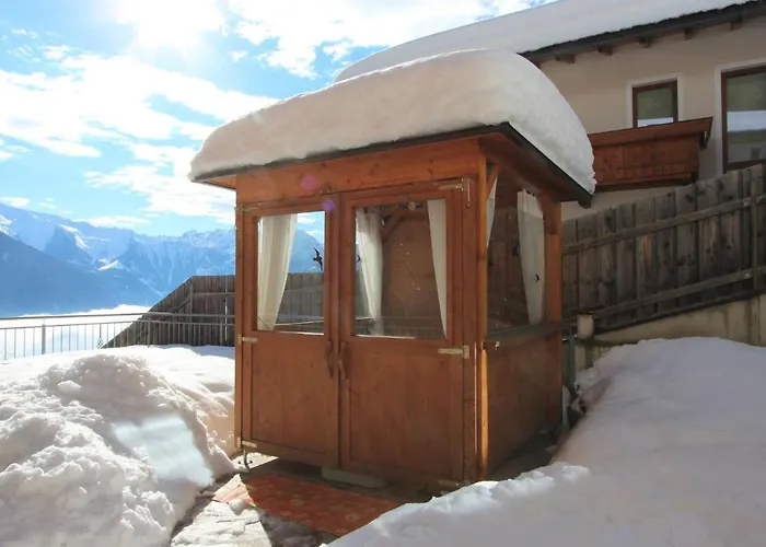 Anita-4 By Interhome Zellberg